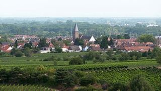Ortsansicht von Mußbach