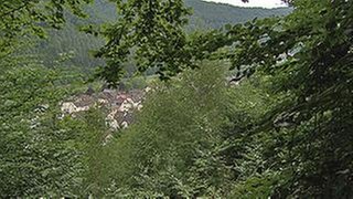 Ortsansicht von Miellen