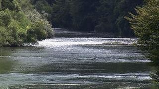 Fluss Sieg