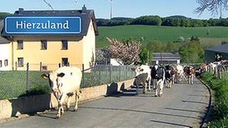 Matzerath