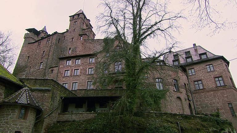 Erlenbach Burg
