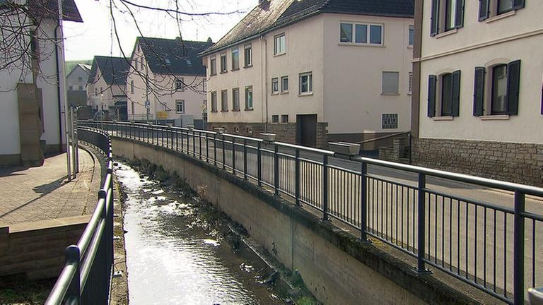 Die Moschel in Waldgrehweiler