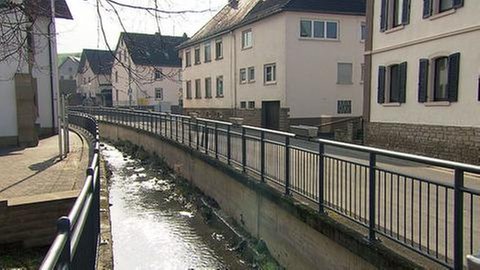 Die Moschel in Waldgrehweiler