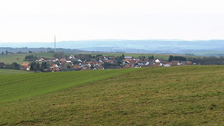 Einöllen - Hanspeter Nagel und Papagei