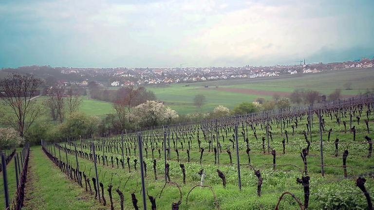Essenheim - Ortsansicht