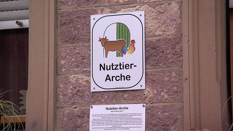 Tierarche