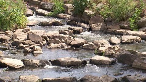 Fischtreppe im Glan