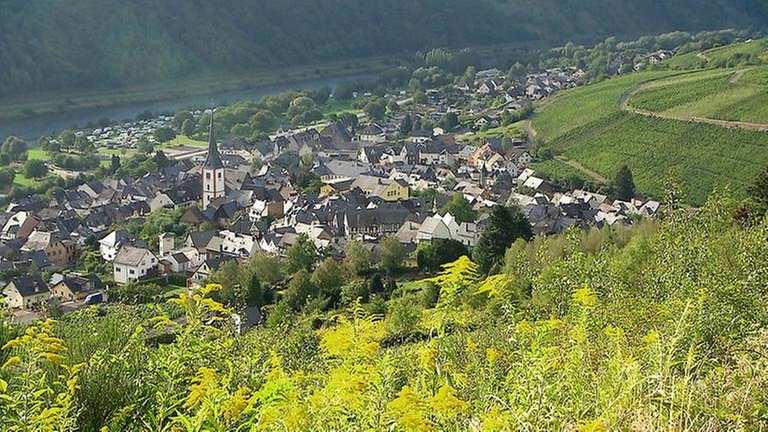 Enkirch  Ortsansicht