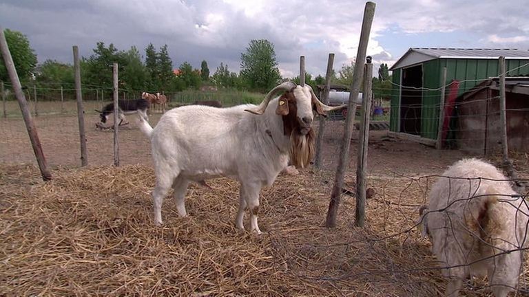 Gelände der Tierarche