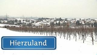 Monzernheim