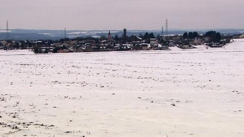 Blick auf Forst