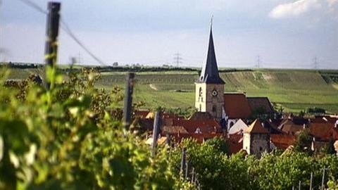 Freinsheim