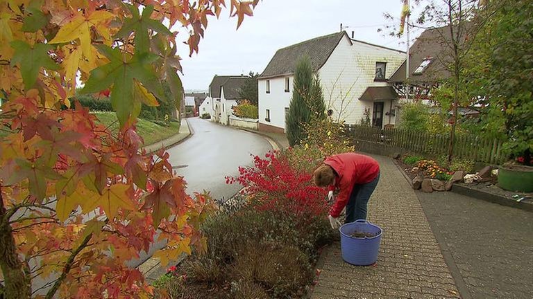 Grünpflege