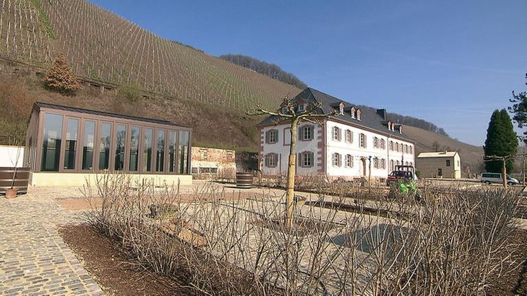 Kanzem - Weingut Cantzheim