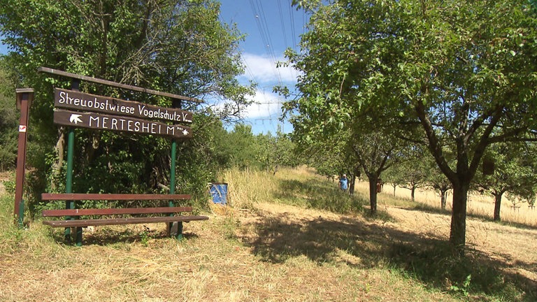 Mertesheim Streuobstwiesen