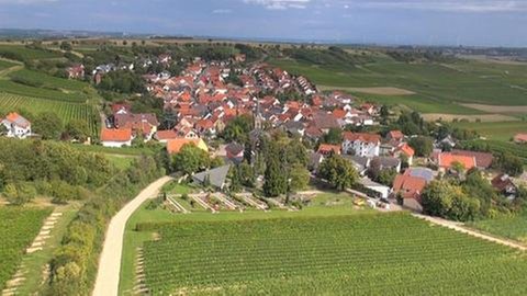 Ortstotale von Vendersheim