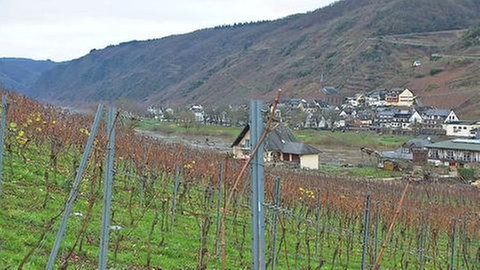 Valwig