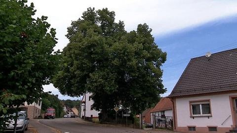 St. Wendelerstraße in Frohnhofen
