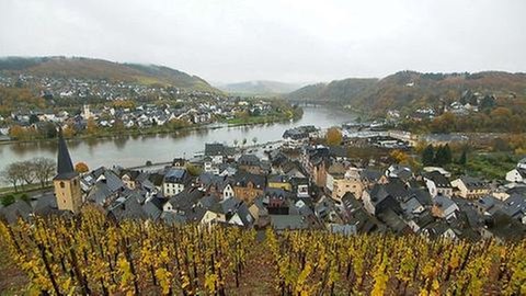 Ortsansicht von Alf
