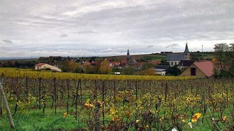 Eimsheim Ortsansicht