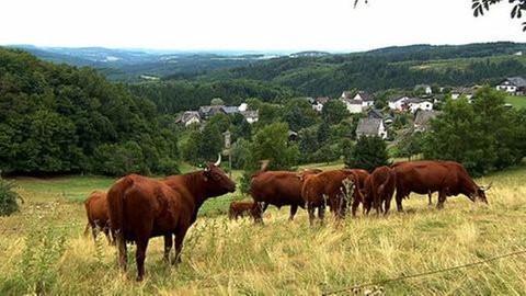 Blick auf Mörsbach