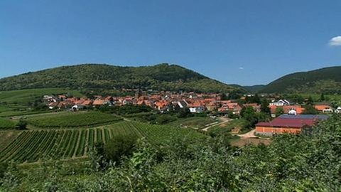 Blick auf Frankweiler
