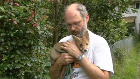 Heinzenhausen - Füchsin