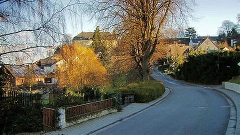Nussallee in Molsberg