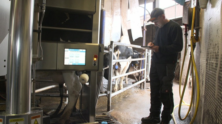 HZL, Hoppstaedten, Jungbauer