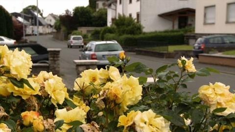 Blumenstraße in Veitsrodt