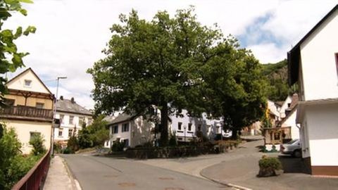 Lindenplatz