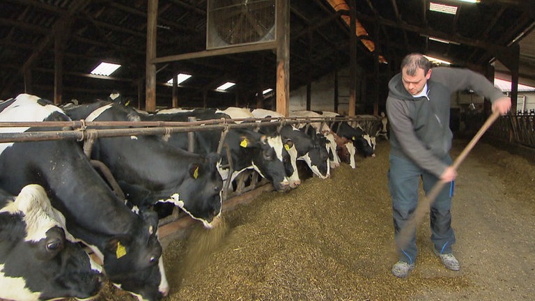 Hierzuland Freilingen, Landwirt