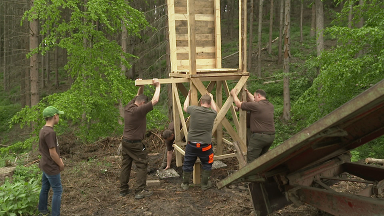 Hierzuland Waldarbeiten
