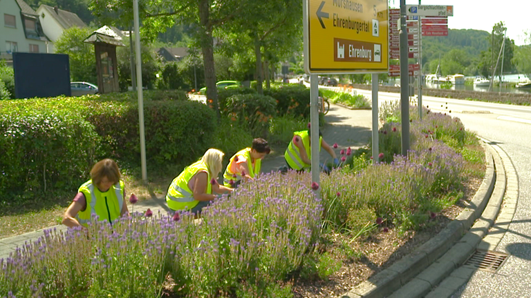 Ehrenamtliche Pflanztruppe