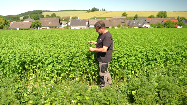 Landwirt Stefan Marx