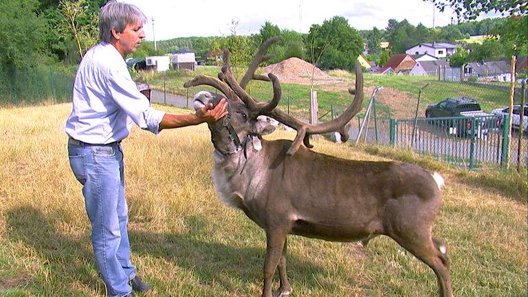 Thomas Löber mit Rentier
