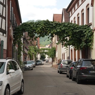 Die Hauptstraße in Birkweiler