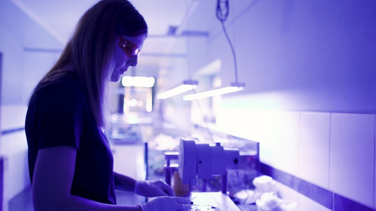 Korallenzucht-Labor von Sandra Preis