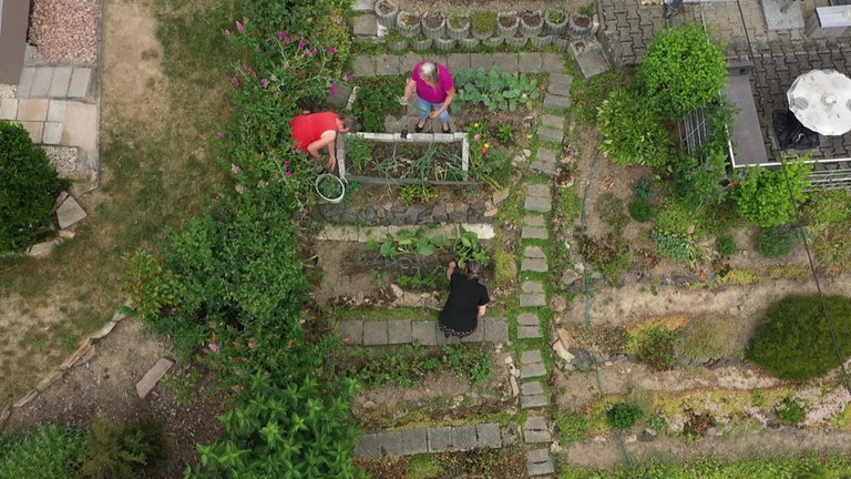 Im Garten von Claudia Schaaf