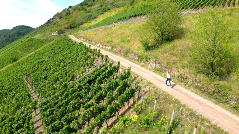 Terrassen-Mosel