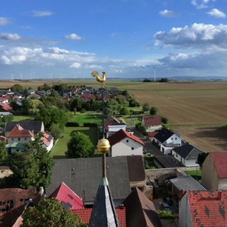 Hierzuland Ilbesheim