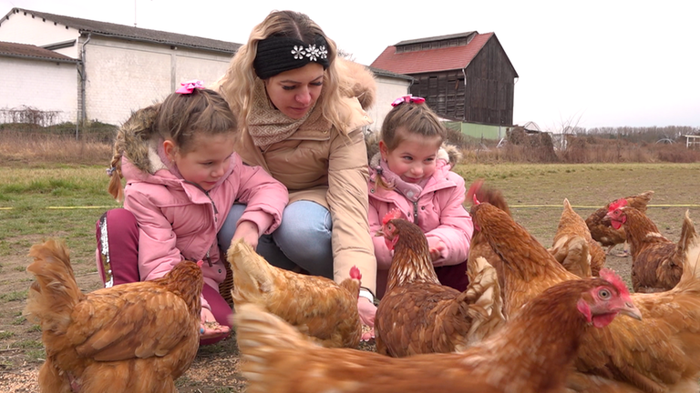 Frei laufende Hühner
