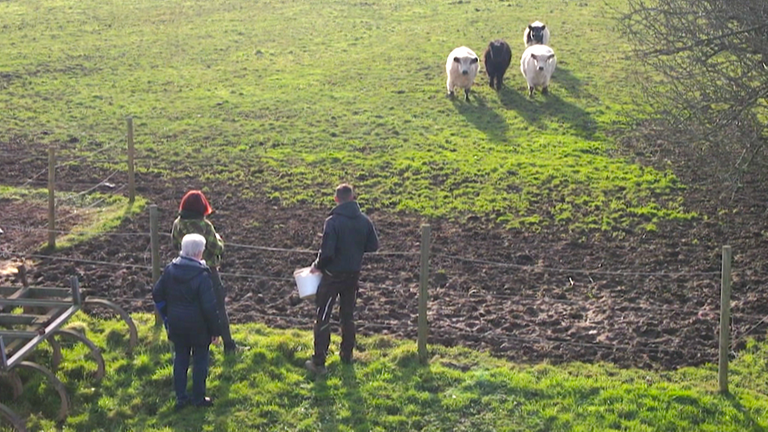 Christian Kiefer und seine Frau Nicole kümmern sich um ihre Galloways