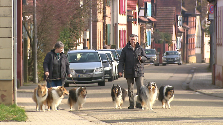 Colliezüchter Luise und Manfred Groß