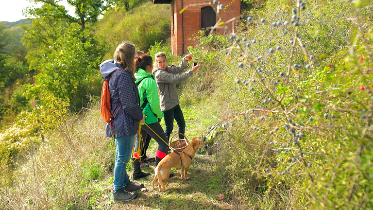 Kräuterwanderung in der Nähe von Bad Kreuznach | Essbare Wildpflanzen und Wildkräuter sammeln im Frühling