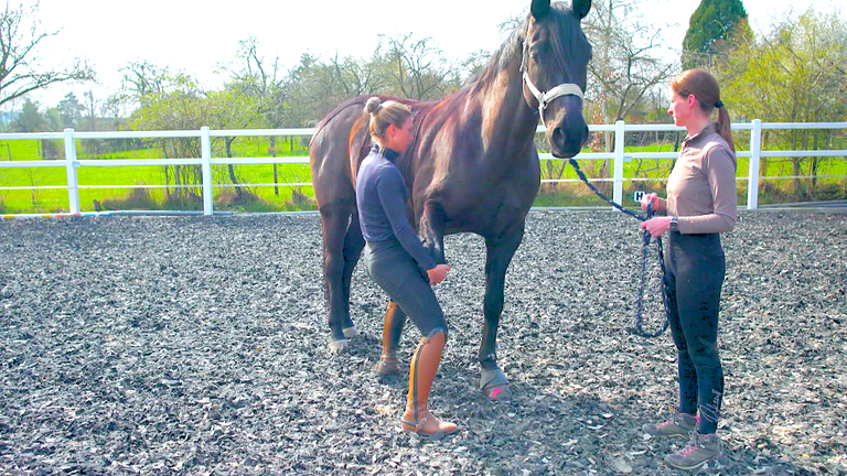 Pferdephysiotherapeutin Jennifer Friedrich