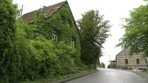 Die Hauptstraße in Forst
