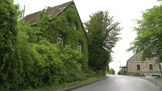 Die Hauptstraße in Forst