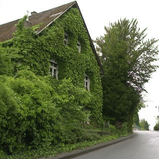 Die Hauptstraße in Forst