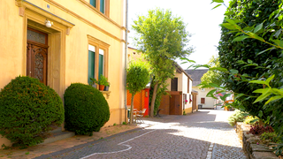 Die Genheimer Straße in Waldlaubersheim